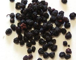 Καρποί Κουφοξυλιάς (Elderberries)