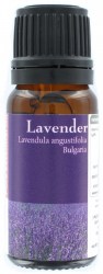 Λεβάντα (Lavender)