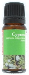 Κυπαρίσσι (Cypress)